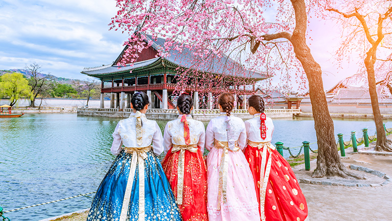 Cherry Blossom with Korean national dress at Gyeongbokgung Palace Seoul, South Korea